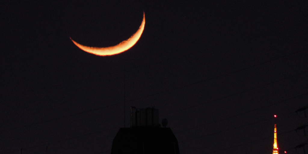東京タワーと月2